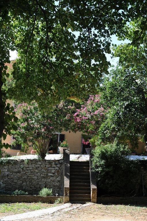 Villa Boldrini b&b Venturina Terme Esterno foto